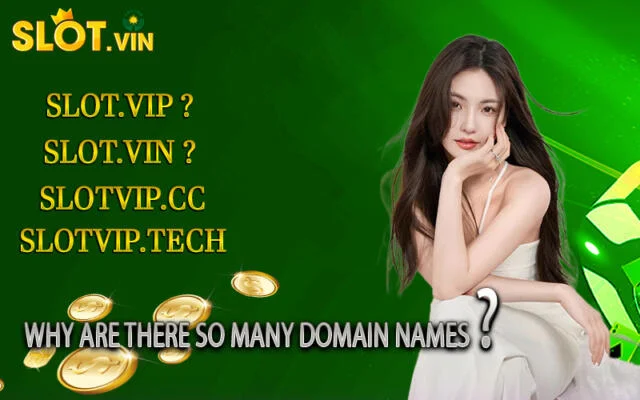 Answer questions about the Slotvip brand